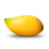 2021 Philippine Dried  Mango 6