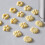 Biscuit Press Set Cookie Maker Machine Kit Stainless Steel 20 Discs 4 Icing Tips Spritz Dough Biscuits Making Tools xqmg Cookie 7