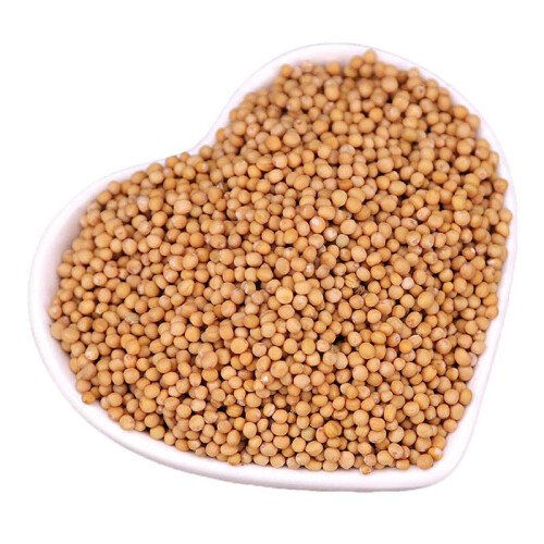 Bai Jie Zi White Mustard Fruit Semen Sinapis 2