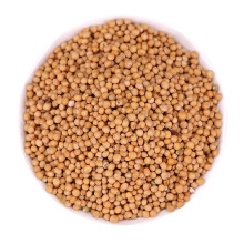 Bai Jie Zi White Mustard Fruit Semen Sinapis