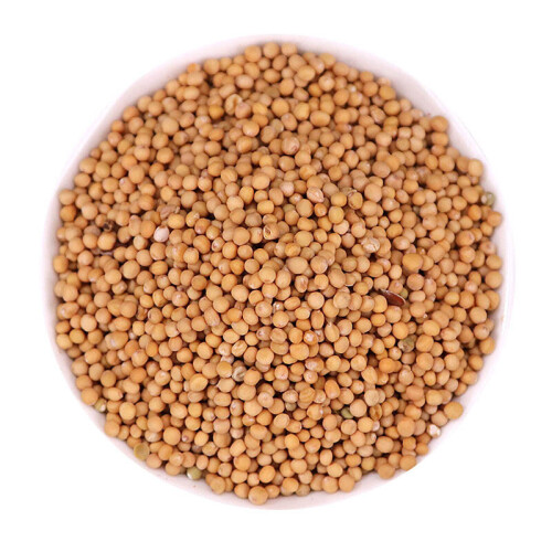 Bai Jie Zi White Mustard Fruit Semen Sinapis