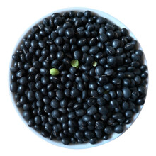 Bulk Dry Edible Black Turtle Beans
