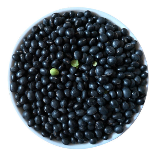 Bulk Dry Edible Black Turtle Beans