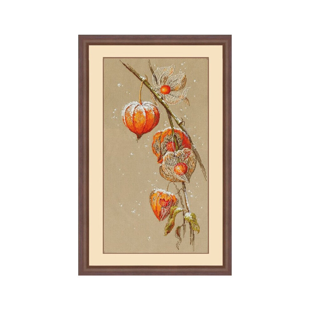 Beautiful Lovely Counted Cross Stitch Kit Lantern Flower Red Flower Physalis Alkekengi Autumn Ground Cherry