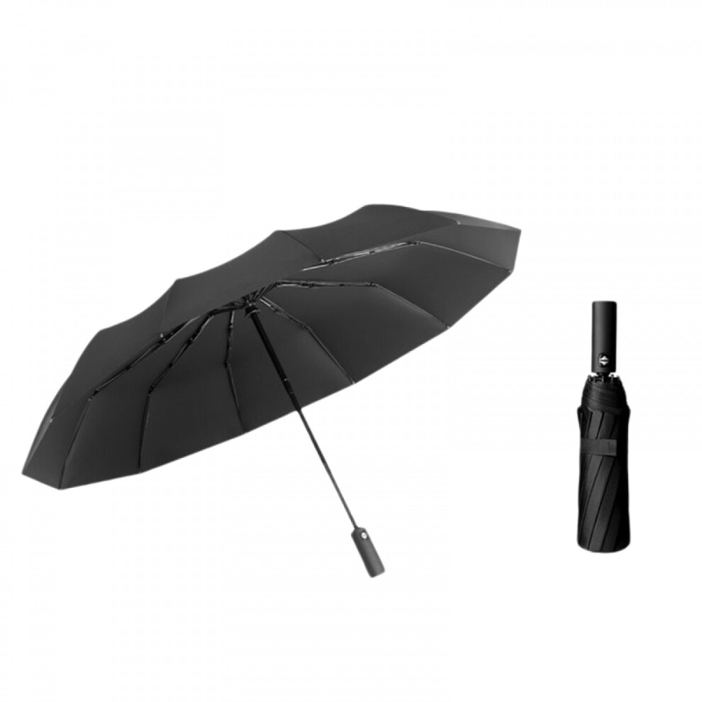 10 Ribs Umbrella Vented Double Canopy Compact Windproof Travel Umbrella Auto Open Close