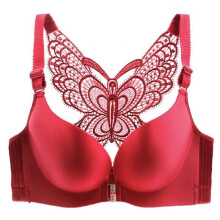 ( Red, 38E) Secrets Comfort Rose Bra Floral Secrets No Wire Bra
