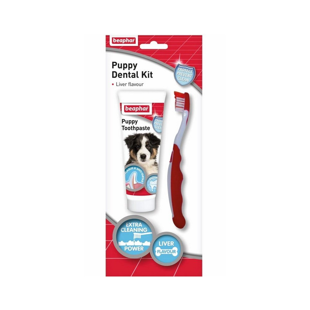 Beaphar Puppy Dental Kit Puppy Toothpaste | Complete Oral Care Set for Healthy Teeth & Gums | Healthy Oral Hygiene