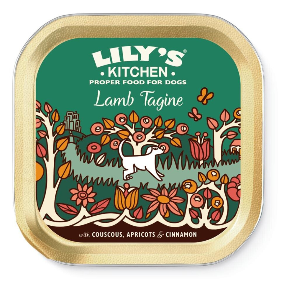 Lily's Kitchen Lamb Tagine for Dogs 150g (Pack of 10)