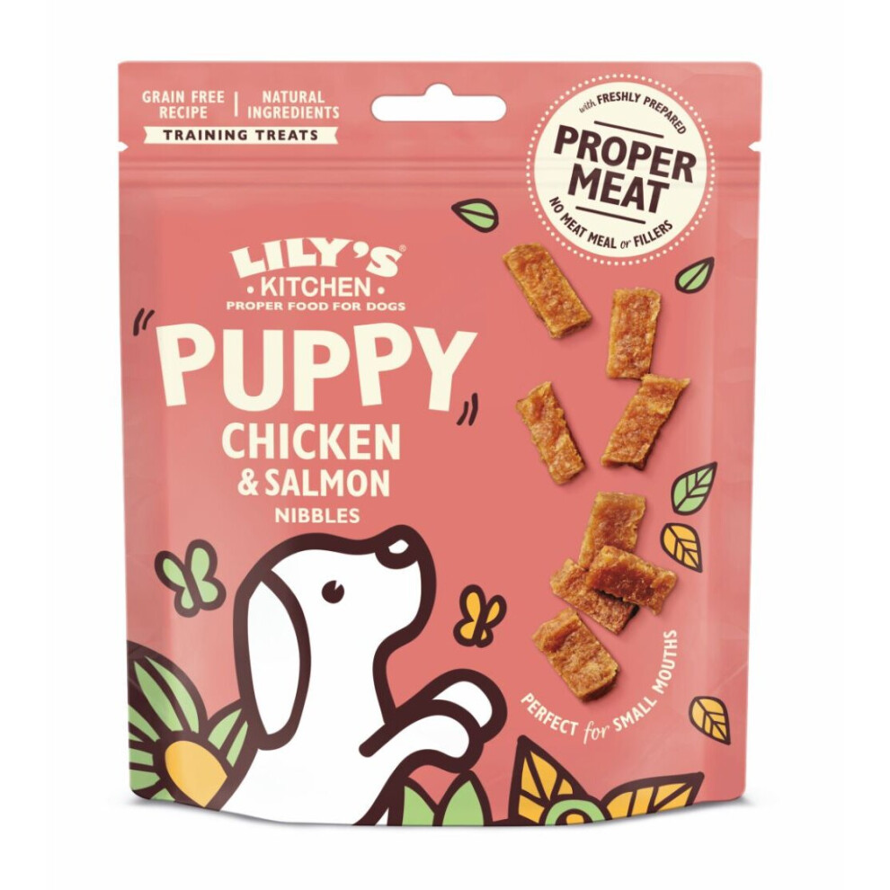 Lily's Kitchen Chicken & Puppy Nibbles 70G (Pack Of 8) Salmon