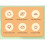 (C) 2 in1 Dough Pressing Tool Set Dumpling Maker Mould Manual Press Dumpling Skin Mold Dumpling Mould Baking Dumpling Wrapper Maker 5