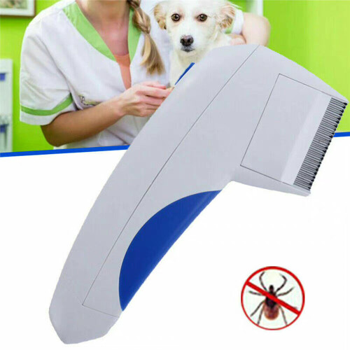 Brosse à cheveux électrique pour chien, chat et animaux de compagnie