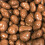 Milk Chocolate Honeycomb Bites 500gm 2