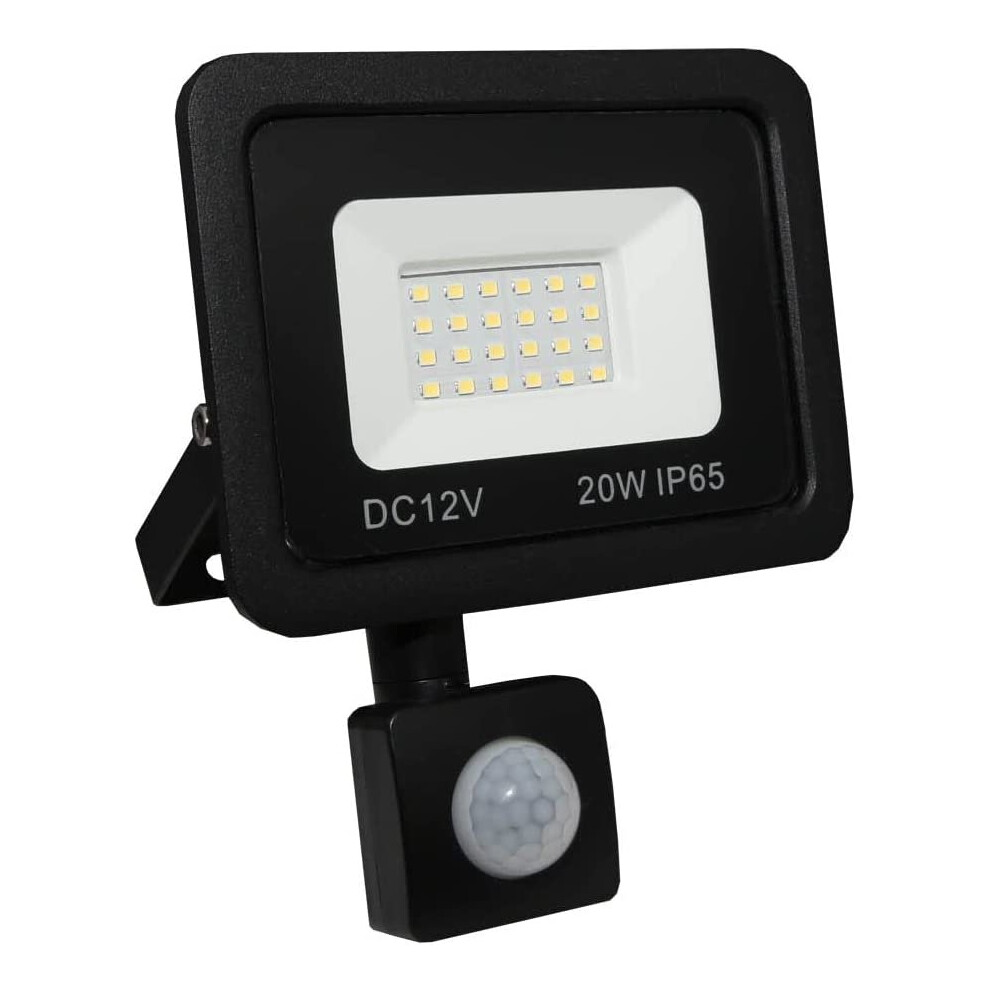 LED Floodlight 12V DC 20W Day White PIR