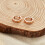Philip Jones Jewellery Rose Gold Plated Huggie Earrings 4