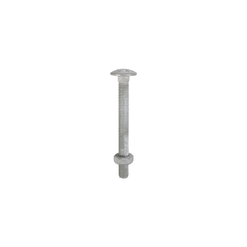 Timco Galvanised Steel Dome Head Carriage Bolts & Hex Nuts (Silver) - M12 x 200mm (10 Pack Box)