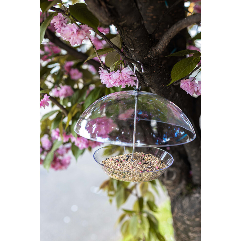 Bird Feed Seed Hanging Nut Seeds Bird Feeder Suet Cake Fat Balls