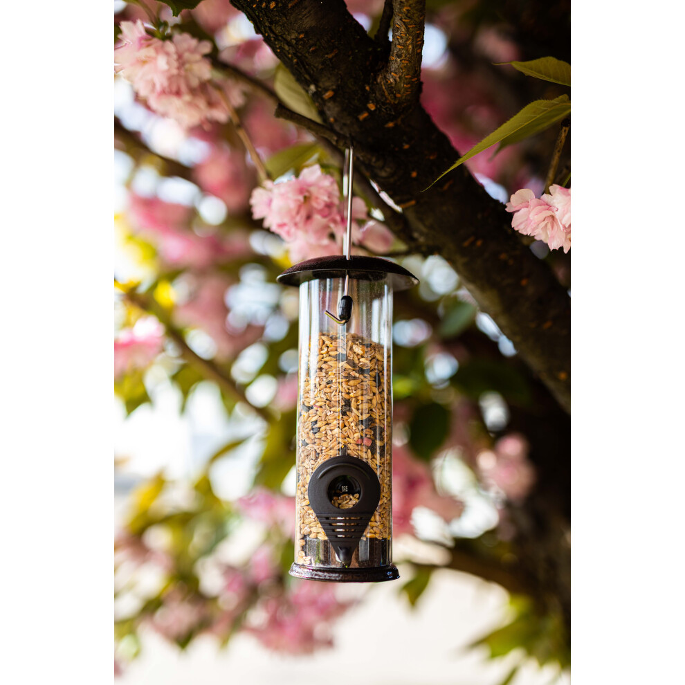 Bird Seed Feeder, Hanging Garden Food Station Perfect for Wild Birds