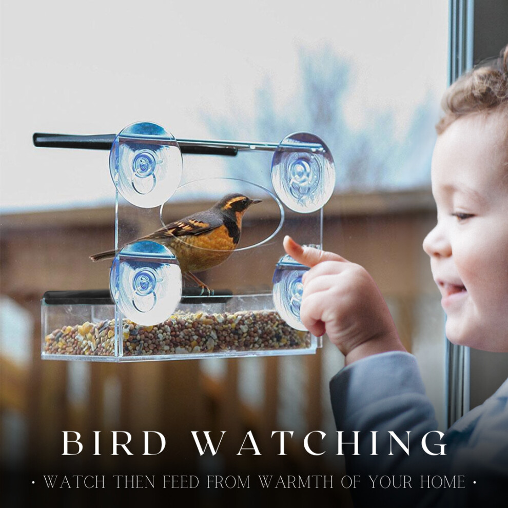 Window Bird Feeder Perspex Bird Feeding Station Seed or Peanut