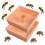 2pcs Square Hive Top Bee Feeder Beekeeping Equipment Beekeeping Tools 1