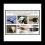 Adjustable Breathable Dog Muzzle 12-15cm - Prevent Biting, Barking, Chewing; Soft Mesh, Allows Panting and Drinking 5