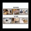 Adjustable Breathable Dog Muzzle 12-15cm - Prevent Biting, Barking, Chewing; Soft Mesh, Allows Panting and Drinking 3