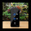 Reptile Humidifier, Misting System for Reptile Terrariums, Automatic Misting System with Adjustable Spray Nozzles 3