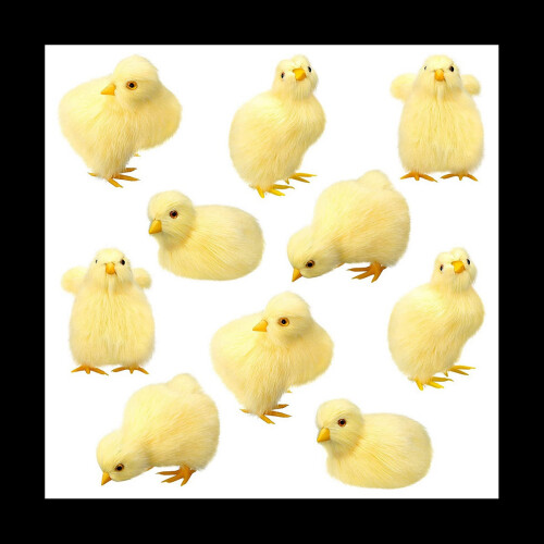 Stuffed chicks online