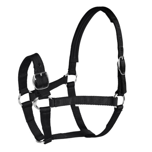 Adjustable Equestrian 4.3ft - 5.4ft Horse Halter - Designed for Training, Trailering and Lunging 1
