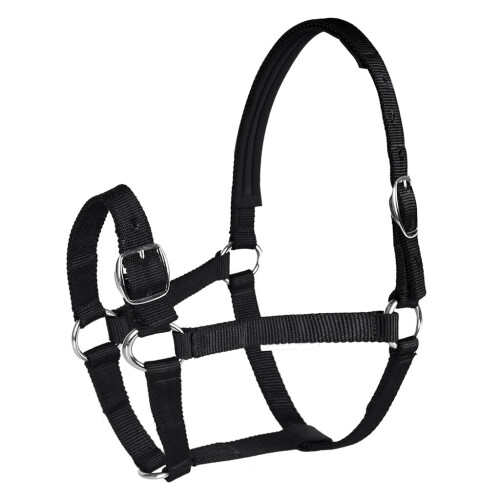 Adjustable Equestrian 4.3ft - 5.4ft Horse Halter - Designed for Training, Trailering and Lunging 2