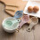 1/2/4Pcs Egg Cup Holder Plastic Boiled Egg Cups Stand Rack Kitchen Cooking Tool Breakfast Supplies Cute Eggs Separator Container 6