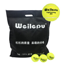 Tennis Balls School Training Practice Beginner Slower Ball for Dog Constant Pressure Durable with Carry Bag 5 10 15 30 Pack