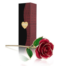 Long Stem Gold Foil Trim Red Rose Flower Best Gift for Lovers Family & Friends