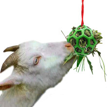 Horse Ball Hay Feeder Horse Treat Ball Feeder Horse Treat Hay Feeder Ball Hangings Feeding Toy For Goat Sheep Headbutting Pen