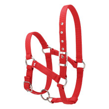 6MM Thickened Horse Riding Durable Horse Head Collar Halter Bridle Horse Riding Equipment Halter Horse Accessories