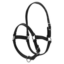 Durable Horse Head Collar Halter 6MM Thickened Horse Riding Bridle Horse Riding Equipment Halter Horse Accessories