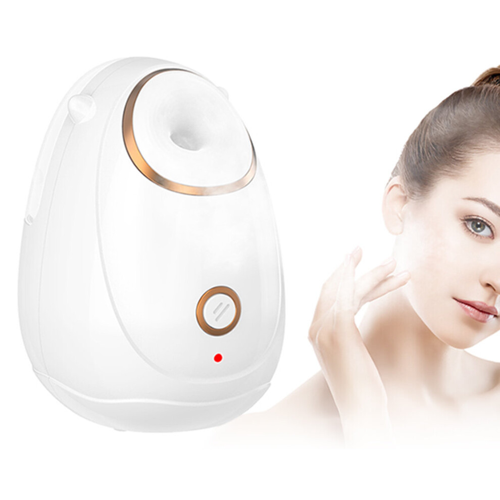 Wejoy Thermal Facial Steaming Apparatus Spray Moisturizing Apparatus Facial Moisturizing Humidifier Constant Temperature Steam