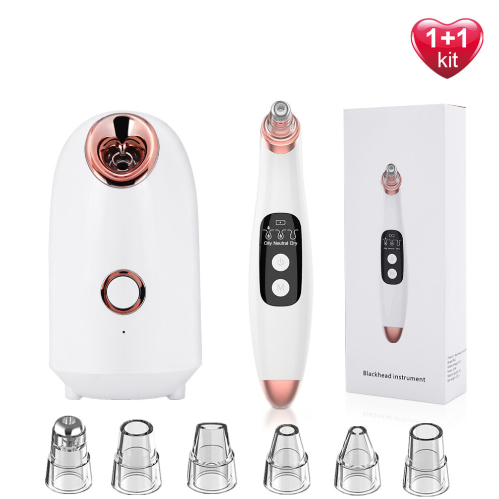 Wejoy Professional Hot Facial Steamer Nano Mist Deep Pore Cleanser Face Steaming Sauna Spa Humidifier Skin Beauty + Blackhead Removal