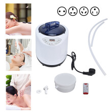 1000W Sauna Room Steamer Sauna Steamer Pot Machine Portable Sauna Steam Generator Fumigation Machine for Home Spa steam