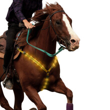 Horse Equipment Breastplate Nylon LED Night Flashing Light Bar Harness Outdoor Sports USB Charge Riding Decorations Belt