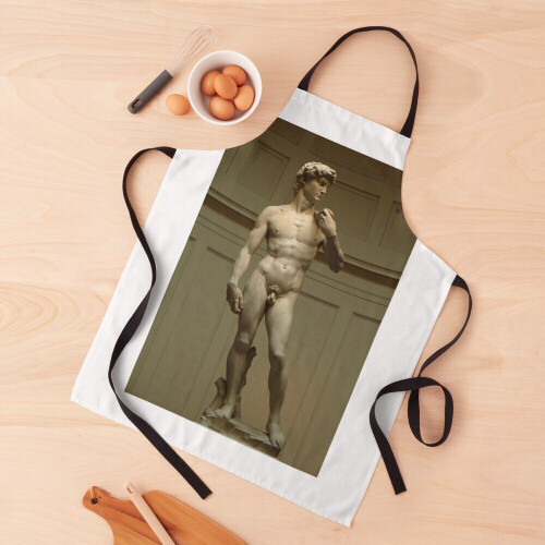 David; Michelangelo's Masterpiece Grill Aprons for Kitchen BBQ Chef 2