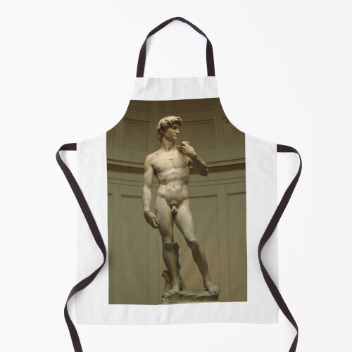 David; Michelangelo's Masterpiece Grill Aprons for Kitchen BBQ Chef