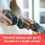High Street TV Jet Hawk Cordless Pressure Washer 9
