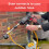 High Street TV Jet Hawk Cordless Pressure Washer 5