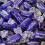 Stockley's Blackcurrant & Liquorice 250g 1