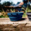 (Navy Blue) Lifeventure Silicone Ellipse FlexiBowl 8