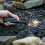 Lifesystems Plasma Lighter 9