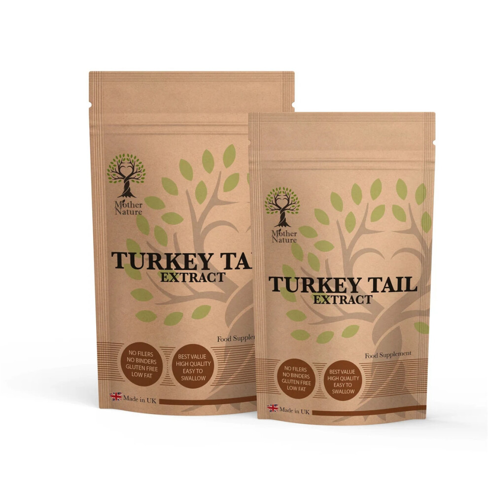 (60 Capsules) Turkey Tail Mushroom 500mg Capsules Natural Turkey Tail Mushroom Supplement High Potency 20 x Stronger Turkey Tail Powder Vegan
