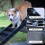 Living And Home (Black) Folding Portable Dog Pet Stairs Ramp 7