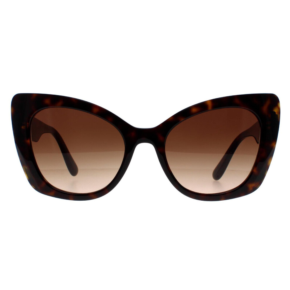 Dolce & Gabbana Sunglasses Dg4405 502/13 Havana Gradient Brown