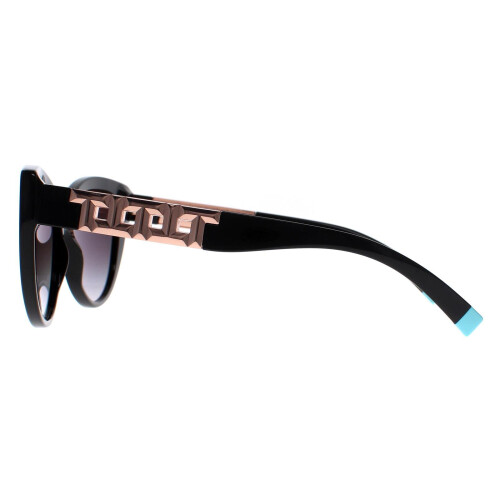 Tiffany & Co Tiffany Sunglasses TF4196 80013C Black Grey Gradient 2
